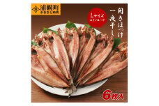 真ほっけ開き一夜干し 手づくり６枚セット  ほっけ  焼き魚  真ほっけ 一夜干し 《30日以内に出荷予定(土日祝除く)》