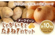 じゃがいも（メークイン）とたまねぎのセット 合計約10kg 野菜 《10月中旬から順次出荷》橋枝物産 北海道 浦幌町