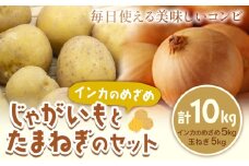 じゃがいも（インカのめざめ）とたまねぎのセット 合計約10kg 野菜 《10月中旬から順次出荷》橋枝物産 北海道 浦幌町 st-p