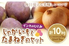 じゃがいも（インカのひとみ）とたまねぎのセット 合計約10kg 野菜 《10月中旬から順次出荷》 橋枝物産 北海道 浦幌町 st-p