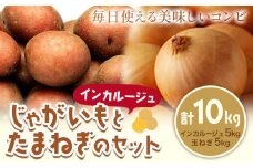 じゃがいも（インカルージュ）とたまねぎのセット 合計約10kg 野菜 《10月中旬から順次出荷》橋枝物産　北海道 浦幌町 st-p