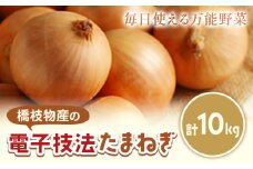 十勝 電子技法栽培たまねぎ 約10kg 野菜 《10月上旬から順次出荷》橋枝物産 北海道 浦幌町 st-p