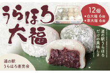 十勝 うらほろ大福 12個入り 白大福 草大福 道の駅うらほろ 直売会 《60日以内に出荷予定(土日祝除く)》北海道 浦幌町 大福 浦幌町産 小豆 冷凍 お菓子 スイーツ 餅