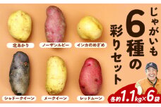 じゃがいも6種の彩りセット 1.1kg × 6袋 元木農場《9月中旬頃から順次発送(土日祝除く)》北海道 浦幌町 じゃがいも メークイン キタアカリ インカのめざめ シャドークイーン ノーザンルビー レッドムーン st-p