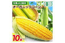 有機JAS栽培 とうもろこし オーガニック コーン 10本 伊場ファーム《2025年8月中旬-9月中旬頃より順次出荷》北海道 浦幌町 朝もぎたて とうもろこし スイートコーン 有機 新鮮 甘い 希少 送料無料