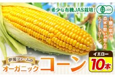 【2026年先行予約】有機JAS栽培 とうもろこし オーガニック コーン 10本 伊場ファーム《8月中旬-9月中旬頃より出荷予定》北海道 浦幌町 朝もぎたて とうもろこし スイートコーン 有機 新鮮 甘い 希少 送料無料