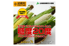 とうもろこし2種セット  合計10本（おひさまコーン７本、ロイシーコーン３本） 元木農場 北海道浦幌町産 生でも食べられる糖度20度以上 朝もぎたてとうもろこし 旬の時期にお届け 朝採り【8月下旬-9月中旬より順次出荷】