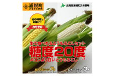 【2026年先行予約】 とうもろこし2種セット  合計10本（おひさまコーン７本、ロイシーコーン３本） 元木農場 北海道浦幌町産 生でも食べられる糖度20度以上 朝もぎたてとうもろこし 旬の時期にお届け 朝採り【8月下旬-9月中旬より順次出荷】