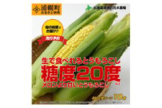 とうもろこし10本 おひさまコーン 元木農場 北海道 浦幌町産 生でも食べられる糖度20度以上 朝もぎたてとうもろこし  朝採り 旬の時期にお届け【8月中旬-9月中旬より順次出荷】