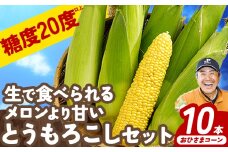 【2026年先行予約】 とうもろこし10本 おひさまコーン 元木農場《8月中旬-9月中旬より発送(土日祝除く) 北海道 十勝 浦幌町産 生でも食べられる糖度20度以上 朝もぎたてとうもろこし 朝採り 旬の時期にお届け
