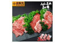 うらほろ和牛 焼肉3種（ウデ400g+バラ400g+モモ200g）セット st-p