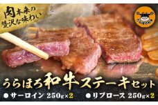 牛肉 うらほろ 和牛 ステーキ サーロイン 250g × 2 リブロース 250g × 2 セット JAうらほろ 浦幌町和牛改良組合 北海道 十勝郡 浦幌町 和牛 牛肉 牛 肉 ステーキ 黒毛和牛 st-p
