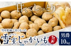 雪室じゃがいも10kg（男爵） 浦幌町農業協同組合 《3月中旬-3月下旬頃出荷》北海道 浦幌町 じゃがいも ジャガイモ 男爵 じゃがバター フライドポテト コロッケ いも 芋 男爵芋 st-p