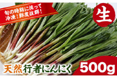 先行予約 天然生行者にんにく500g 《4月下旬頃から順次発送(土日祝除く)》北海道 浦幌町 山菜 希少種 者ニンニク 幻の山菜 山菜 山の幸 野菜 疲労回復 健康 st-p