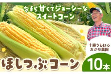 まぼろしの「ほしつぶコーン」10本 ジャンボサイズ とうもろこし おかだ農園 北海道 浦幌町産 【7月末‐8月中旬頃出荷】 安心安全 こだわりの栽培 朝もぎたて 産地直送 朝採り スイートコーン