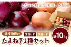 電子技法栽培たまねぎ2種セット 紫玉ねぎ 黄玉ねぎ 合計約10kg 野菜《10月上旬から順次出荷》橋枝物産 北海道 浦幌町 st-p