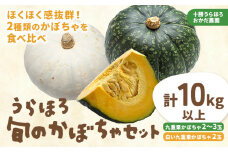 かぼちゃ合計10kg（九重栗2～3玉、白い九重栗2玉程度）おかだ農園《9月中旬-11月上旬より順次出荷》 st-p