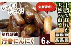 行者にんにく 醤油漬け120g×6本セット 十勝の天然の山菜