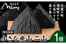 浄化木炭 小さな炭山 二山 1個 MLoop(エムループ) 株式会社浦幌木炭 浦幌木炭 飾り炭 消臭効果