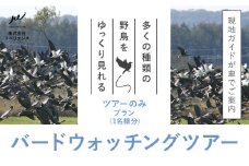 十勝バードウォッチングツアー ツアーのみ 体験型返礼品