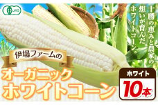 オーガニック ホワイトコーン 10本 伊場ファーム 北海道十勝浦幌町産 朝もぎたて とうもろこし 旬の時期にお届け 朝採り【2025年8月下旬-9月中旬より順次出荷】