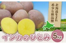 インカのひとみ 5kg じゃがいも 飯山農場《30日以内に出荷予定(土日祝除く)》芋 ジャガイモ 野菜 送料無料 北海道 浦幌町 st-p