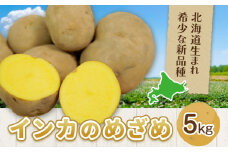 インカのめざめ 5kg じゃがいも 飯山農場《30日以内に出荷予定(土日祝除く)》芋 ジャガイモ 野菜 送料無料 北海道 浦幌町 st-p