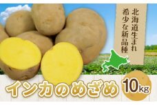 インカのめざめ 10kg じゃがいも 飯山農場《30日以内に出荷予定(土日祝除く)》芋 ジャガイモ 野菜 送料無料 北海道 浦幌町 st-p