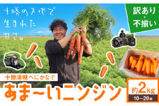 甘～いニンジン 十勝 浦幌べにかなで 【訳あり・不揃い】 約2kg 10～20本 農事組合法人レギューム《12月上旬から5月上旬頃出荷》北海道 浦幌町 人参 にんじん 安心 安全 野菜 お野菜 やさい 紅奏 シャキシャキ 甘い st-p