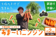 甘～いニンジン 十勝 浦幌べにかなで 【訳あり・不揃い】 約2kg 10～20本 農事組合法人レギューム《12月上旬から5月上旬頃出荷》北海道 浦幌町 人参 にんじん 安心 安全 野菜 お野菜 やさい 紅奏 シャキシャキ 甘い st-p