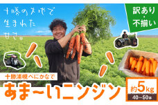 甘～いニンジン 十勝 浦幌べにかなで 【訳あり・不揃い】 約5kg 40～50本 農事組合法人レギューム《12月上旬から5月上旬頃出荷》北海道 浦幌町 人参 にんじん 安心 安全 野菜 お野菜 やさい 紅奏 シャキシャキ 甘い st-p