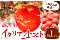 調理用 イタリアン トマト 約1kg《30日以内に出荷予定(土日祝除く)》北海道 浦幌町 スープ 贈り物 レトルト 冷凍食品 温めるだけ お手軽 レンジ 惣菜 送料無料