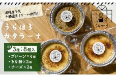 うらほろカタラーナ プレーン チーズ きな粉小豆 3種8個入り ノースプロダクション 北海道 十勝郡 浦幌町 ケーキ スイーツ デザート おやつ　【30営業日以内に出荷(土日祝除く)】