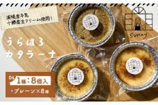 うらほろカタラーナ プレーン チーズ きな粉小豆 1種8個入り ノースプロダクション 北海道 十勝郡 浦幌町 ケーキ スイーツ デザート おやつ　【30営業日以内に出荷(土日祝除く)】