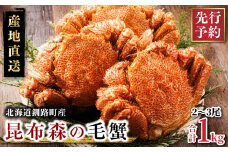 【先行予約】 厳冬が旬 北海道昆布森の 毛蟹 1kg 2～3尾 ＜出荷時期 2026年3月から順次出荷予定＞ ボイル済み 下茹で 冷凍|入手困難 北海道産 毛ガニ ケガニ けがに カニ味噌 希少 魚介類 高級 セット 旬 釜茹で 先行 予約 北海道 釧路町 釧路超 特産品 br02