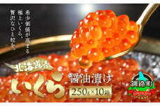 北海道産 いくら醤油漬け 250g ×10箱 計2.5kg【配送日時指定可】 国産 いくら醤油漬 しょう油 しょうゆ イクラ ikura 小分け 天然 鮭 鮭卵 鮭いくら 魚卵 冷凍 配送日指定 配送月指定 配送月を選べる 配送時期 発送月が選べる 発送月 スピード発送 魚介類 海鮮 絶品 人気 笹谷商店 釧之助本店 ギフト 贈答用 贈答品 北海道 釧路町 釧路超 特産品 br01