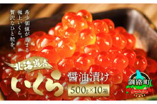 北海道産 いくら醤油漬け 500g ×10箱 【配送日時指定可】 国産 いくら いくら醤油漬 しょう油 しょうゆ イクラ ikura 天然 鮭 鮭卵 鮭いくら 魚卵 冷凍 配送日指定 配送月指定 配送月を選べる 配送時期 発送月が選べる 発送月 スピード発送 魚介類 海鮮 絶品 人気 笹谷商店 直営 釧之助本店 高級 ギフト 贈答用 贈答品 北海道 釧路町 釧路超 特産品 br01
