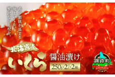 北海道産 いくら醤油漬け 1kg（250g ×2パック ×2箱） 【発送時期が選べる】 国産 いくら いくら醤油漬 イクラ ikura 天然 鮭 サーモン 鮭卵 鮭いくら 冷凍  配送月指定 配送時期選べる 配送時期 発送月が選べる 発送月 スピード発送 魚介類 海鮮 絶品 人気 笹谷商店 直営 釧之助本店 高級 ギフト 贈答用 贈答品 北海道 釧路町 釧路超 特産品 br01