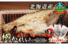 北海道産 特大 柳かれい 一夜干し 1尾×3個セット 【発送時期が選べる】 焼魚 焼き魚 セット ひもの 冷凍  配送月指定 配送時期選べる 配送時期 発送月が選べる 発送月 スピード発送 魚介類 海鮮 絶品 人気 笹谷商店 直営 釧之助本店 高級 北海道 釧路町 釧路超 特産品 br02
