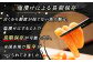 北海道産 いか 塩辛