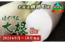 野菜王国 釧路町産 【ほくげん大根】5kg ＜2024年9月～10月発送＞ 国産 産地直送 旬 季節の野菜 詰め合わせ セット 北海道 釧路町 釧路超 特産品