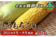 野菜王国 釧路町産 【とうもろこし】10本 ＜2024年8月～9月発送＞ 国産 産地直送 旬 季節の野菜 詰め合わせ セット 北海道 釧路町 釧路超 特産品