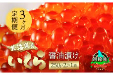 【定期便 3ヶ月連続】北海道産 いくら醤油漬け 500g（250g ×2パック） 小分け | 国産 いくら いくら醤油漬 しょう油 しょうゆ イクラ ikura 小分け 天然 鮭 鮭卵 鮭いくら 魚卵 冷凍 定期便 魚介類 海鮮 絶品 人気 笹谷商店 直営 釧之助本店 高級 ギフト 贈答用 贈答品 北海道 釧路町 釧路超 特産品 br04