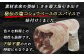 ８以内に発送いたします