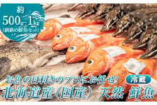 お魚の目利きのプロにお任せ！北海道産（国産） 天然 鮮魚 約500g～1kg（釧路の鮮魚セット）産地直送 冷蔵 冷蔵便 配送月指定 配送時期選べる 配送時期 発送月が選べる 発送月 スピード発送 刺身 セット 鮮魚セット 鮮魚ボックス 魚介類 海鮮 絶品 人気 ヒロセ 北海道 釧路町 釧路超 特産品 br02