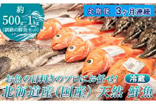 【定期便 3ケ月連続】 お魚の目利きのプロにお任せ！北海道産（国産） 天然 鮮魚 約500g～1kg（釧路の鮮魚セット） 産地直送 冷蔵 冷蔵便 刺身 セット 鮮魚セット 鮮魚ボックス 定期便 魚介類 海鮮 絶品 人気 ヒロセ 北海道 釧路町 釧路超 特産品 br04