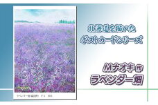 北海道 絵葉書（ハガキ） 贈呈用 ラベンダー畑 アート アーティスト 絵画 北海道 【発送時期が選べる】 配送月指定 配送時期選べる 配送時期 発送月が選べる 発送月 Mナオキオリジナル アート 作品 北海道 釧路町 釧路超 特産品 br09