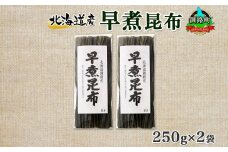 北海道産 昆布 早煮昆布 250g×2袋 計500g 釧路 くしろ 釧路昆布 国産 昆布 海藻 おでん こんぶ 煮物 コンブ 保存食 夕飯 昆布 ギフト 乾物 北連物産 きたれん 北海道 釧路町 釧路超 特産品 br02