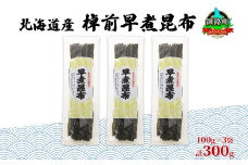 北海道産 昆布 3袋セット 棹前早煮昆布 100g×3袋 計300g 棹前 さおまえ 棹前昆布 天然 昆布 こんぶ コンブ 煮昆布 海藻 乾物 昆布森産 山田物産 北海道 釧路町 釧路超 特産品