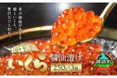 北海道産 いくら醤油漬け 250g ×3箱 【配送日時指定可】 国産 いくら醤油漬 しょう油 しょうゆ イクラ ikura 小分け 天然 鮭 鮭卵 鮭いくら 魚卵 冷凍 配送日指定 配送月指定 配送月を選べる 配送時期 発送月が選べる 発送月 スピード発送 魚介類 海鮮 絶品 人気 笹谷商店 直営 釧之助本店 高級 ギフト 贈答用 贈答品　北海道 釧路町 釧路超 特産品 br01
